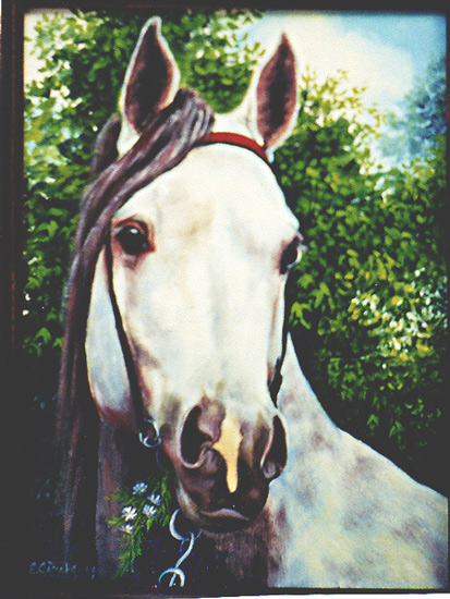 Портрет белой лошади
