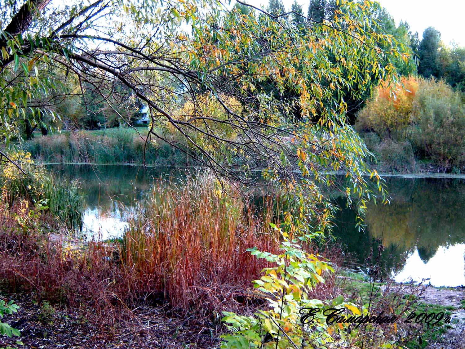 Осенний пруд